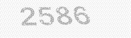 Visual security code — type the characters shown in the image